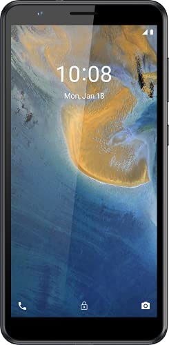 ZTE Smartphone Blade A31 (13,84cm (5,45 Zoll) HD+ Display, 4G LTE, 2GB RAM und 32GB interner Speicher, 8MP Hauptkamera und 2MP Frontkamera, Dual-SIM, Android 11 GO) grau, 126595201057